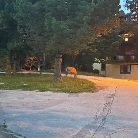 Apartmán Lomnica *