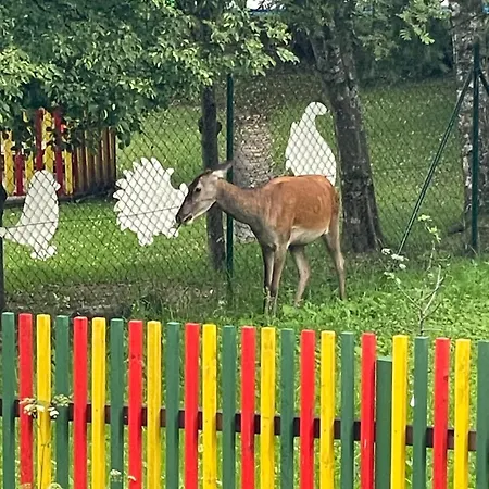 Lomnica Apartmán Tatranska Lomnica